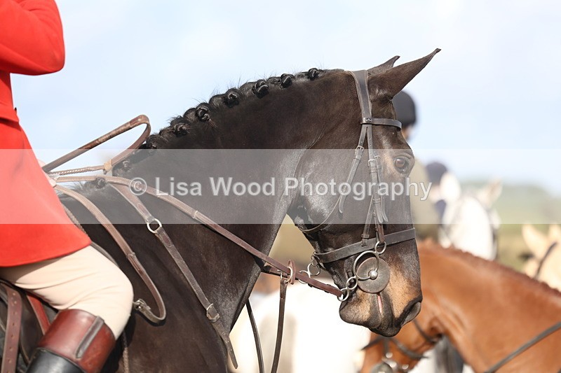 3E7A0587 - Four Burrow Opening Meet 2025