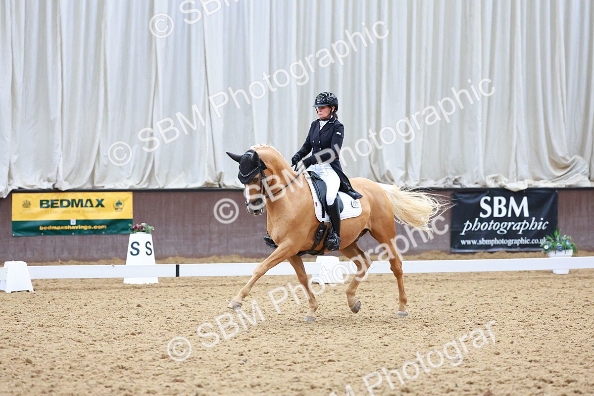 SBM_021280 - Class 25 - FEI PSG Bronze