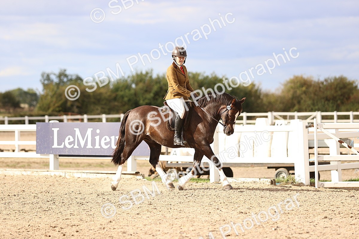 SBM_18160 - Class 423 - Equitation (best rider) Adult