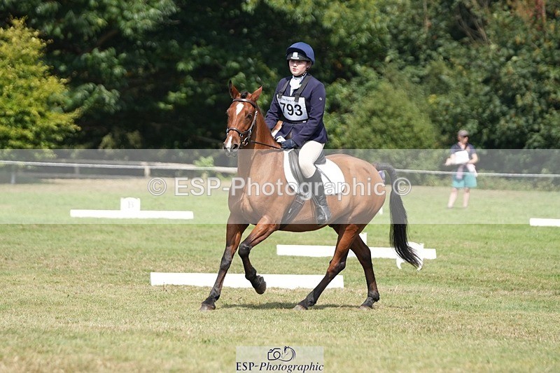 250823A-135650-31094 - Arena B