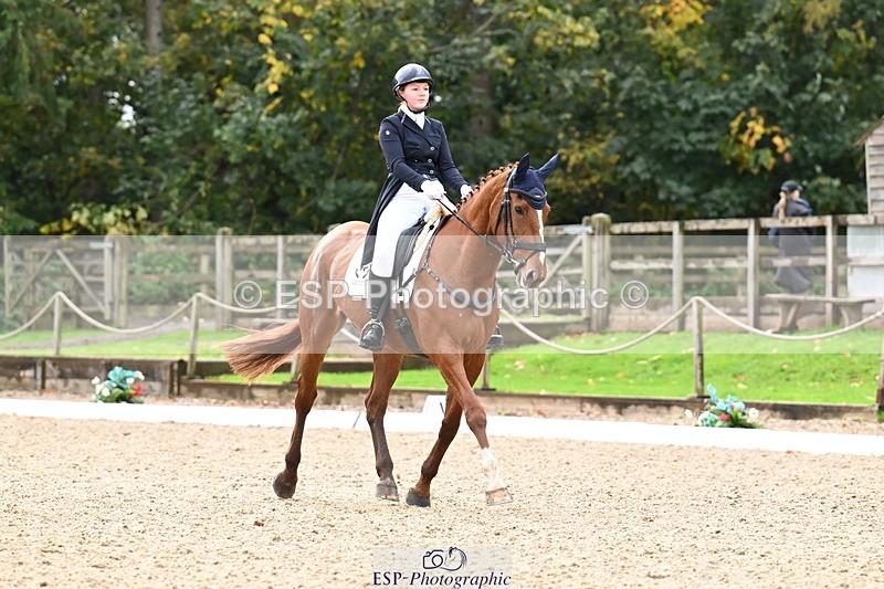 251023A-124038-02293 - B-154-Holly.Law