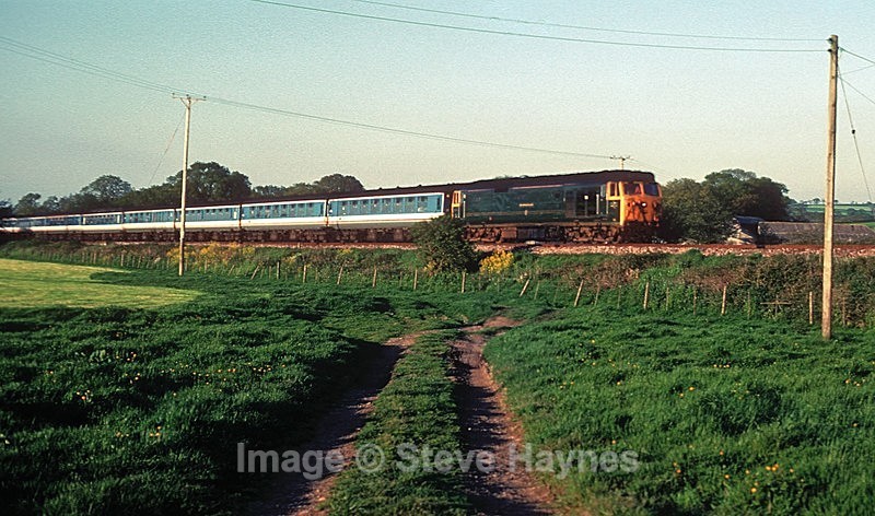 20th May 1991 - Axminster, Devon