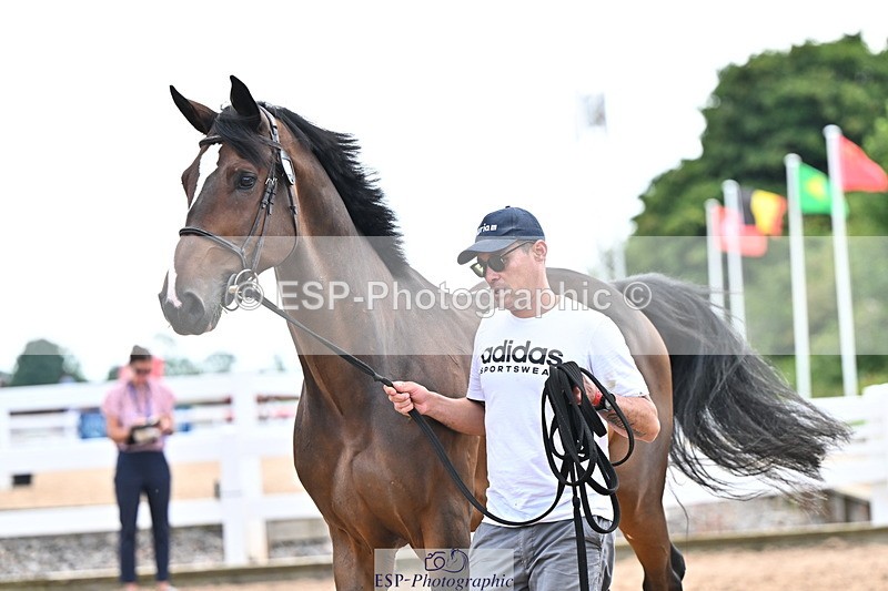 240718A-105328-02055 - Trot Up 2pm to 3pm - This folder is not in time order