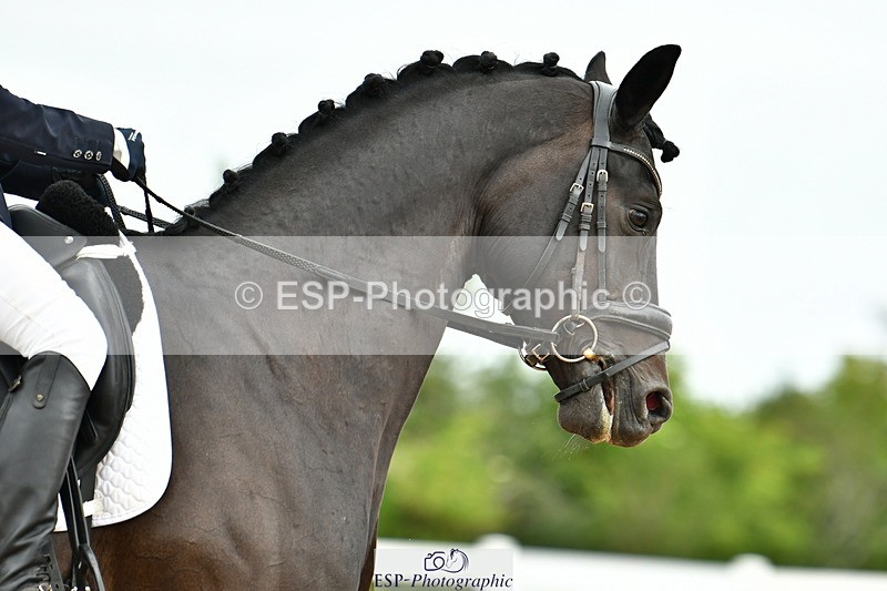 230702A-100114-08266 - Cls 23 Prelim 19