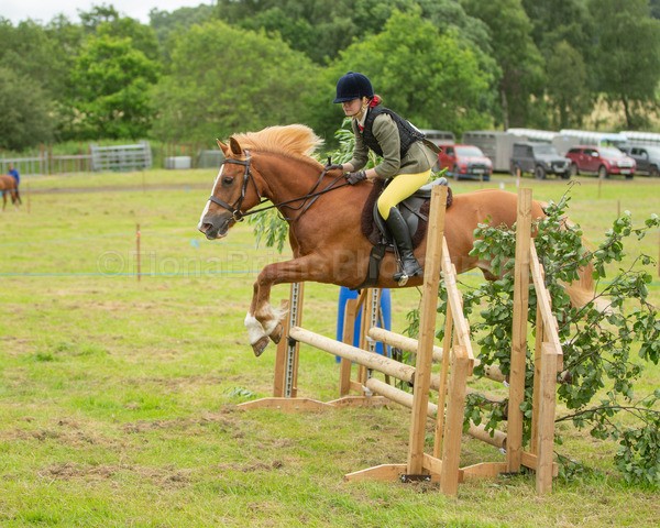 Dunblane show-476 - Dunblane and Doune Show Ring 1