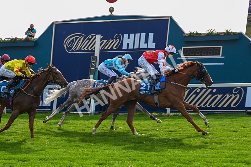 230526-Race 7-Golden Strike-7994 - Race 7 17.00pm William Hill Boosts Every Day Handicap