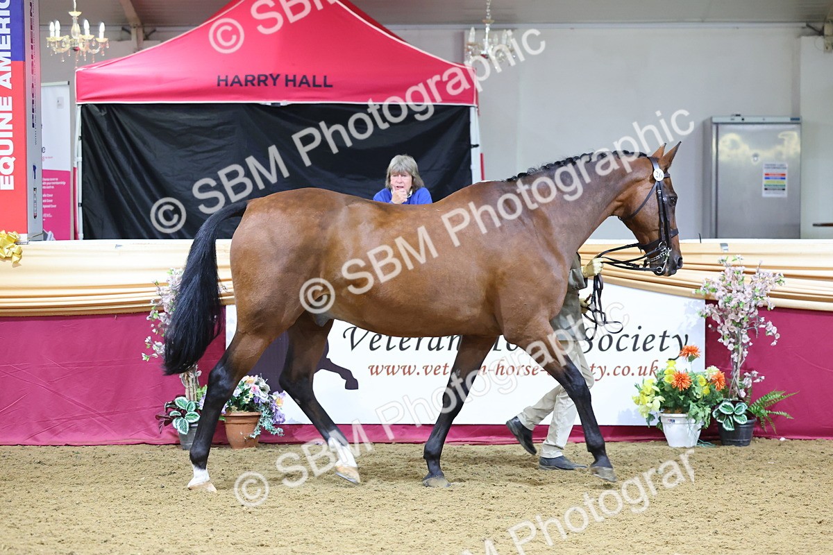 SBM_19419 - Class 901 - Supreme Final - IH Diamond