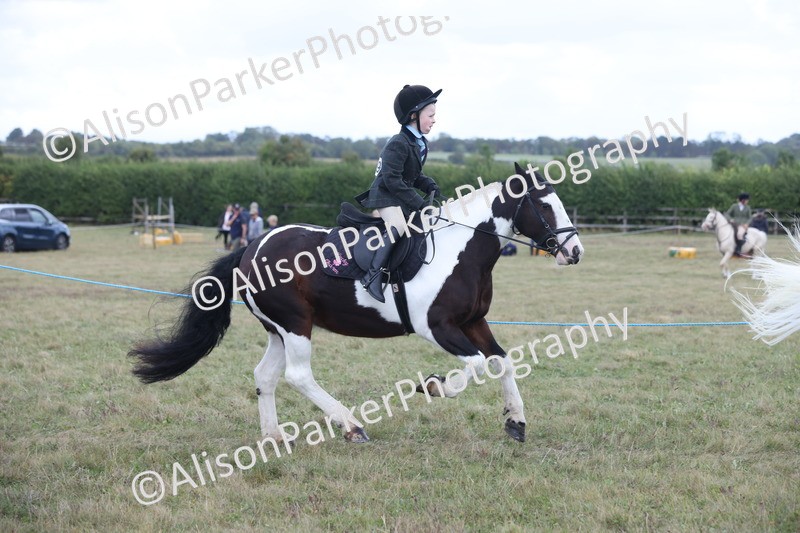 20250831-4252 - Class 20 - Ridden Coloured