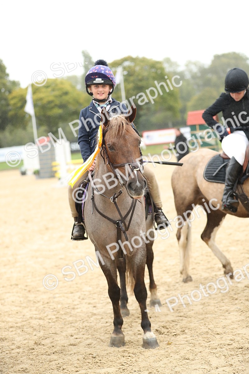 SBM_74110 - J16 - Junior Pony 75cm Championship