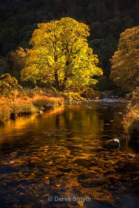 Autumn Sunshine