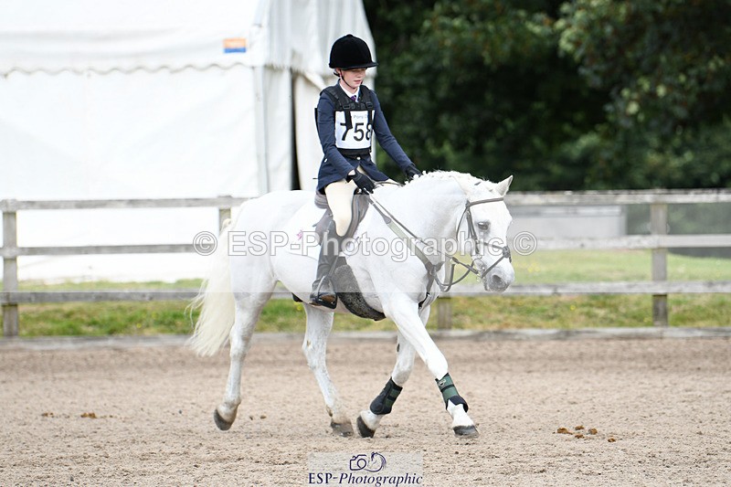 240825X-135234-34241 - 80cm SJ 12.45 to 14.00