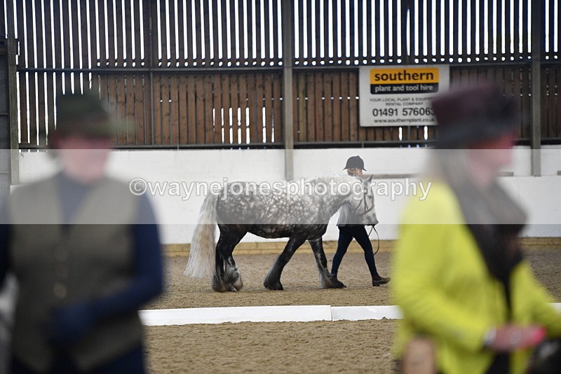 WJ5_5540 - Class 8 In hand cob