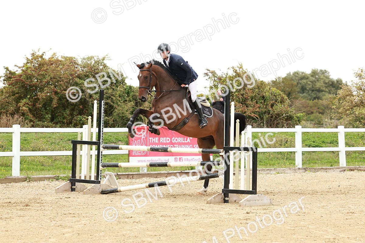 1I0A7027 - Class 2 - Senior British Novice