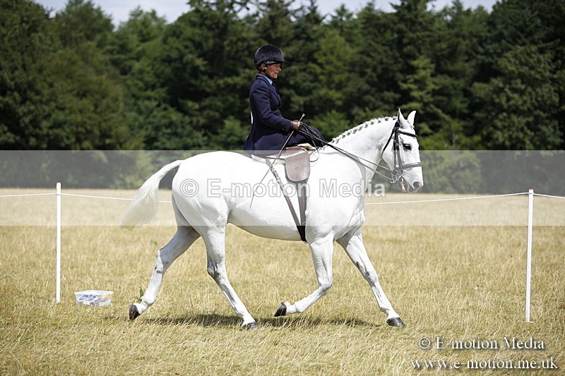 _C7A0214 - Side Saddle Classes BVRC Show 2018
