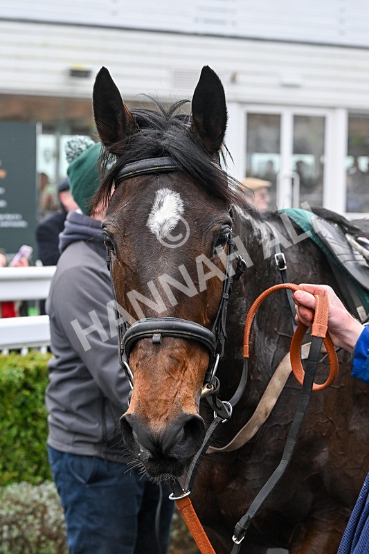 110124-Race 1-Brucio-2121 - Race 1