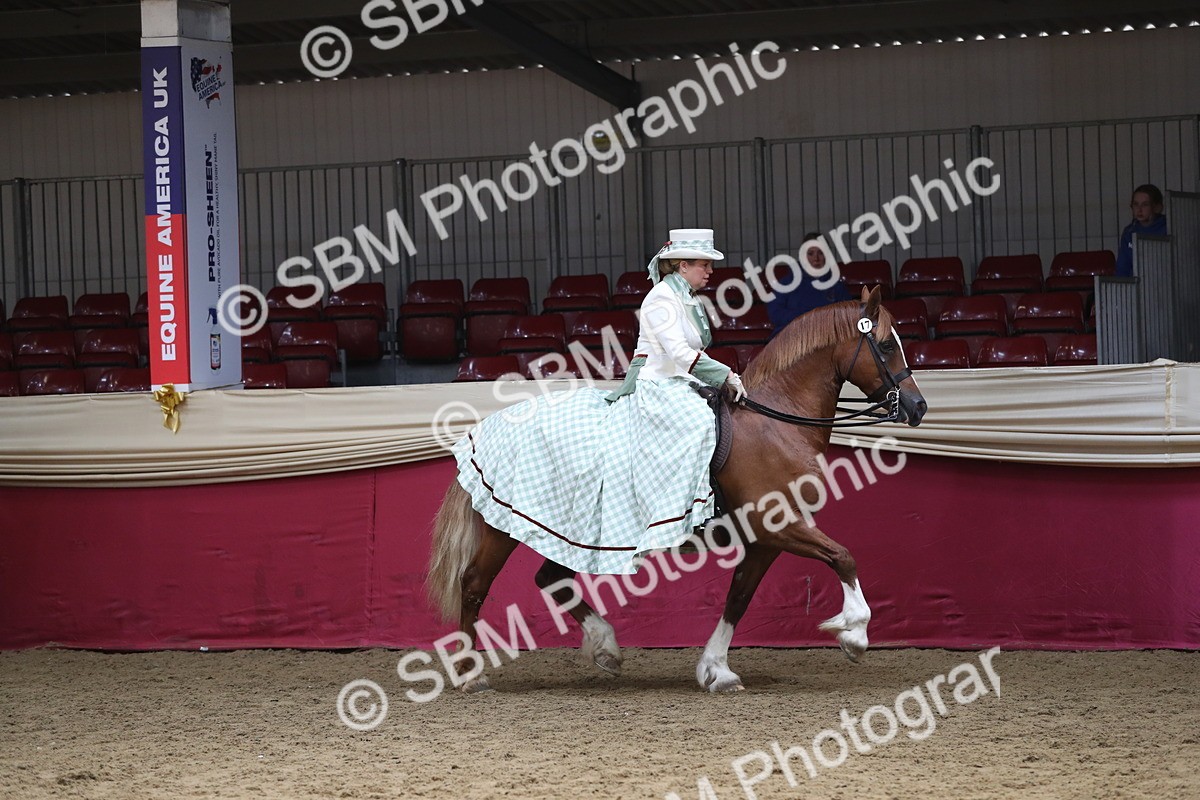 SBM_12077 - Class 106 Ridden Costume- Astride Adult (15-19)