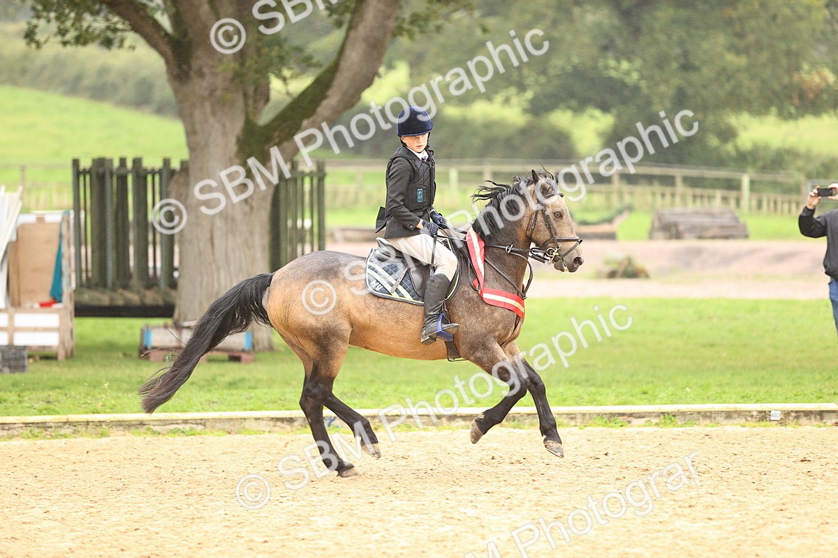 SBM_70110 - Supreme Championship 80cm 85cm