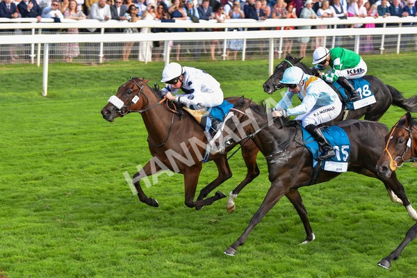 240823-Race 6-Gushing Gold-0730 - Race 6 4.45pm Or8Wellness EBF Stallions Nursery Handicap