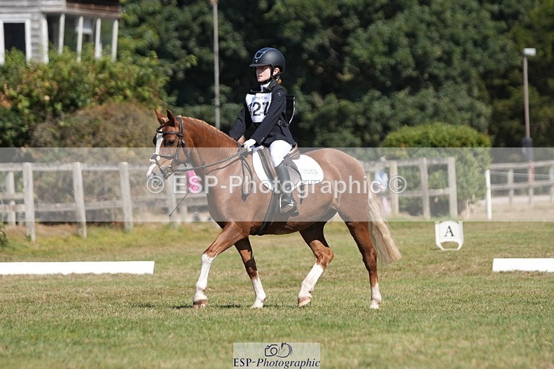 250823A-111612-28204 - Arena A