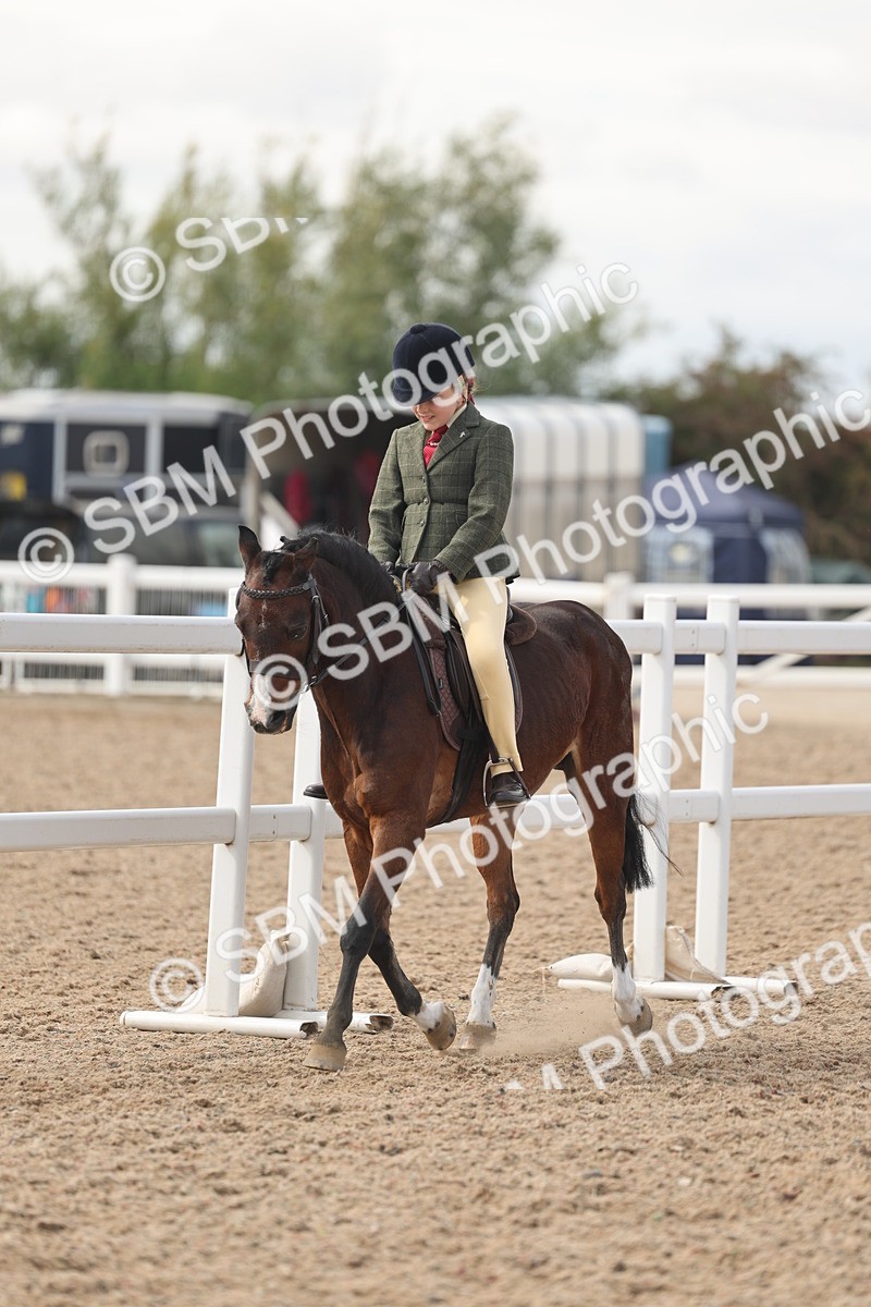 SBM_15885 - Class 310 - First Ridden Pony