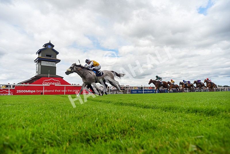 050725-Race 2-Mo Of Cairo-4974 - Race 2