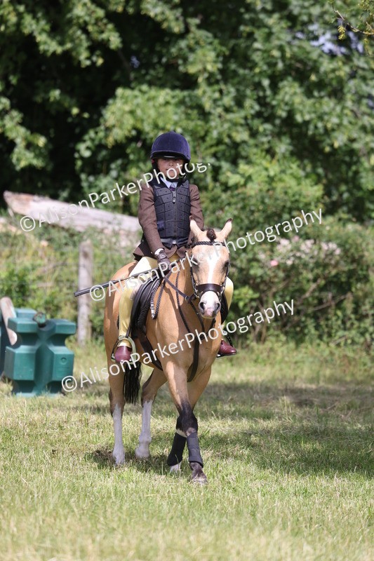 20260614-1916 - Class 21 - Novice Working Hunter Pony