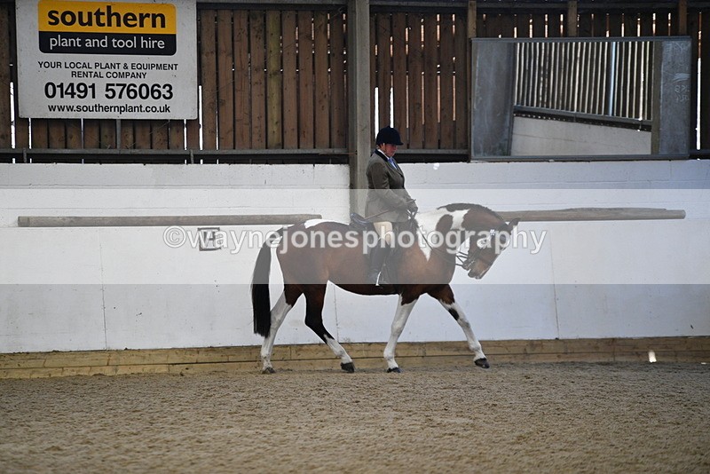 WJ5_5897 - Class 9 Ridden Veteran