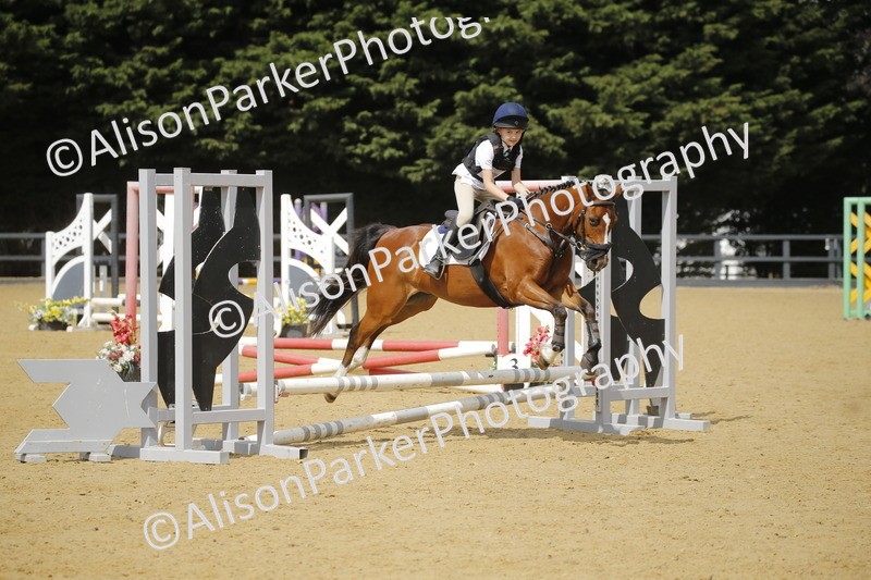 20250622-3822 - 50cm