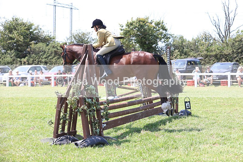 JPP_2990 - Class 22: Working Hunter 70cm