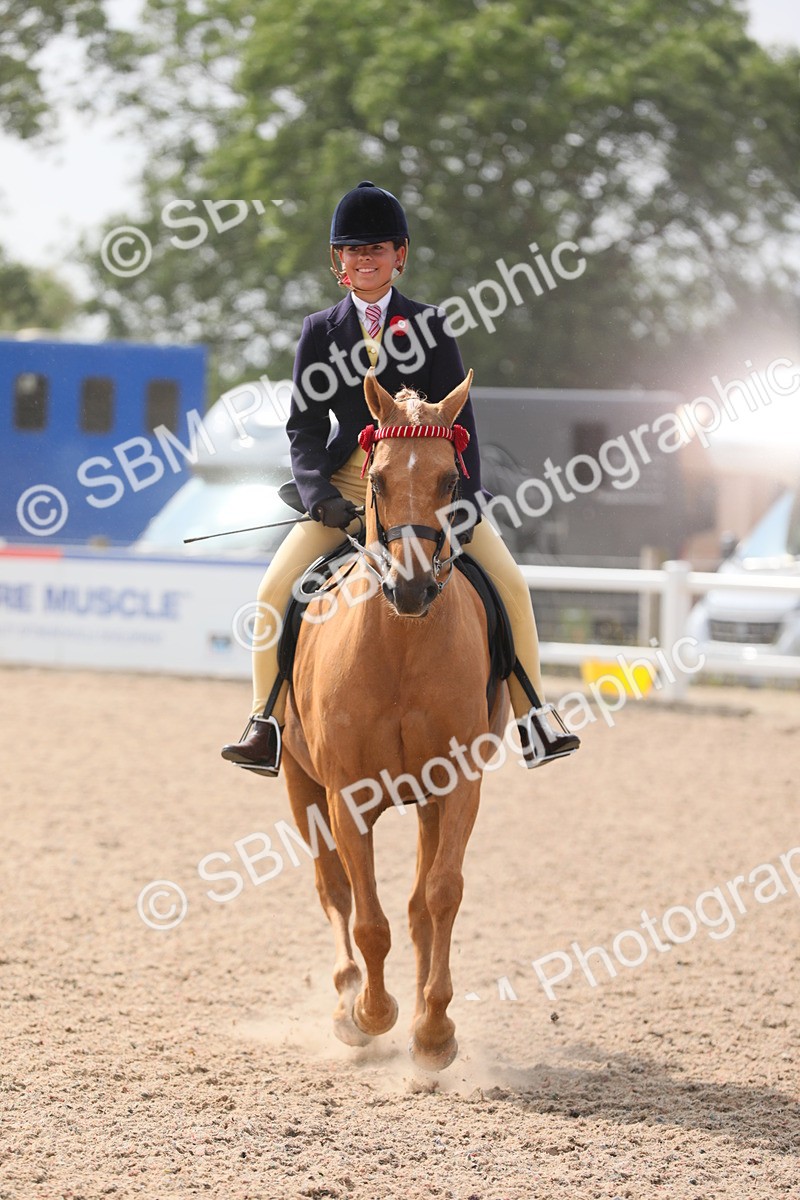 SBM_15634 - Class 311 Ridden Show Pony/ Show Hunter Pony