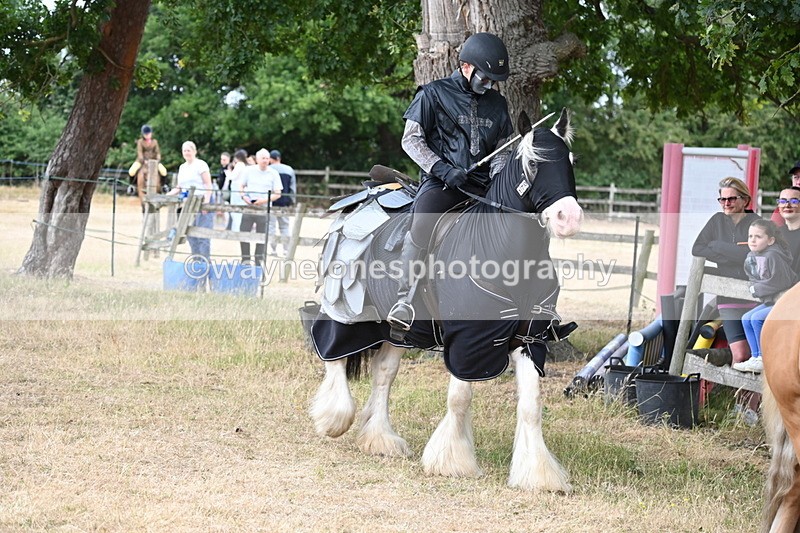 WJ6_8909 - Class 11 Fancy Dress