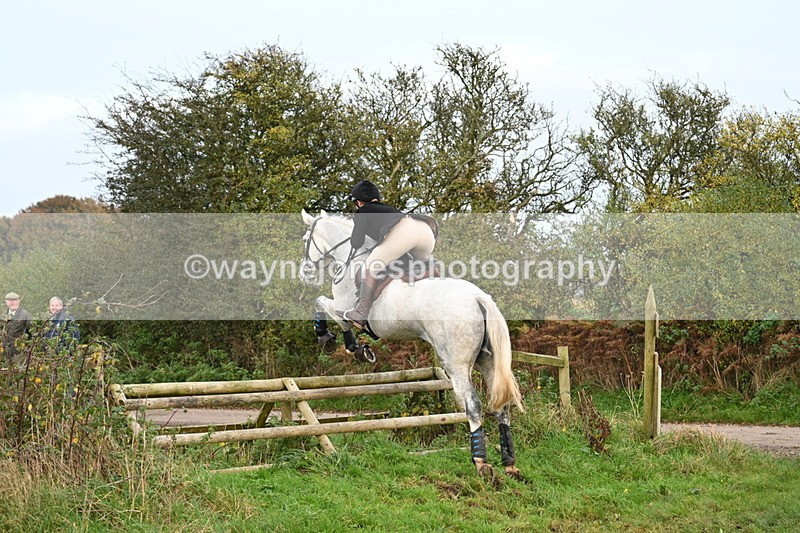 WJ7_0414 - Camera 1 & Last fence