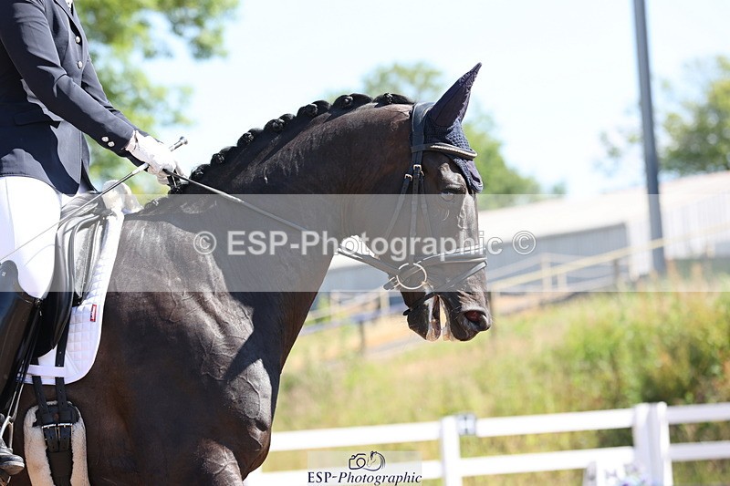 240621A-102510-00136 - Cls 6 BD Music Novice