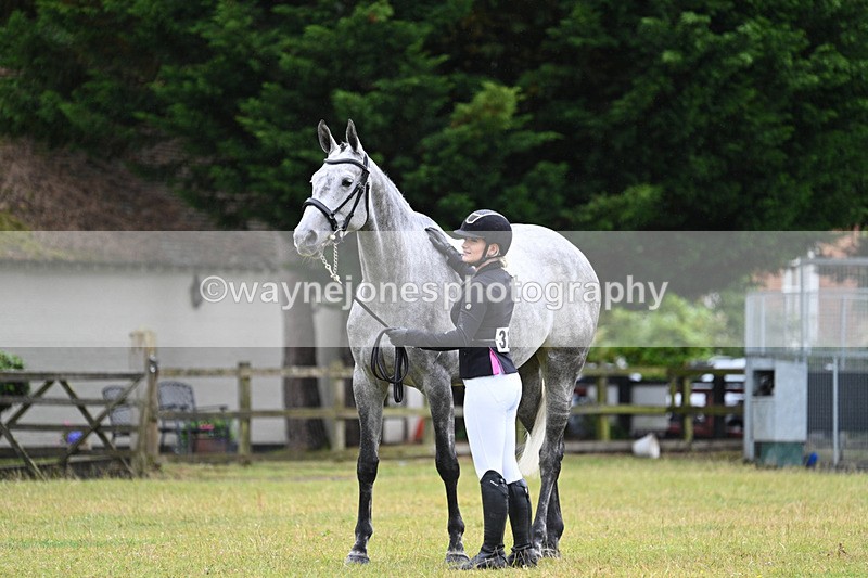 WJ7_6187 - Class 4a Prettiest Mare over 14hh