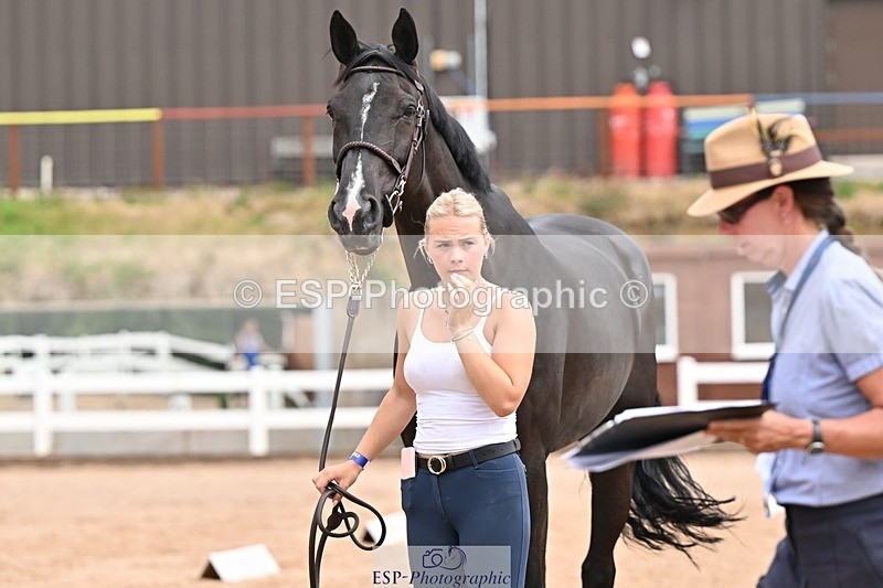 250716-144410-01343 - Trot Up 2.30 to 3.30