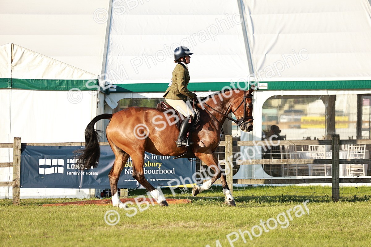 SBM_20460 - Class 117-119 - Sport Horse Working Hunter