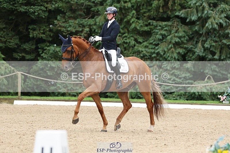 240810-155505-04117 - 208-Tom.Carter-Rubin.Regal