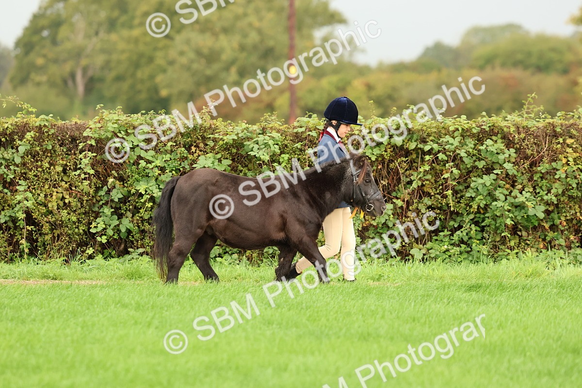 SBM_32909 - S8 - Best Turned Out