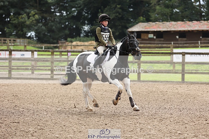 240804-133302-14303 - 555-Jack_Wish-WESTERLAKE_BUTTONWEED