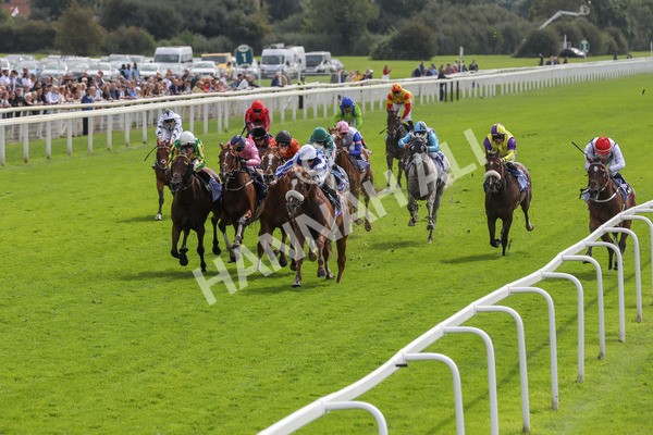250823-Race 1-Marhaba The Champ-5748 - Race 1 1.50pm Sky Bet Handicap