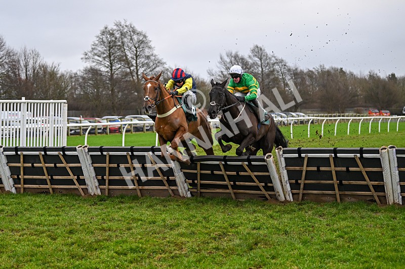 110124-Race 4-Hasthing-2586 - Race 4