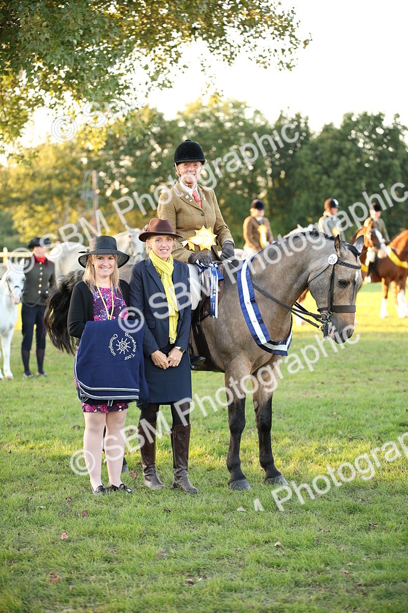 SBM_57072 - Veteran Supreme Championship