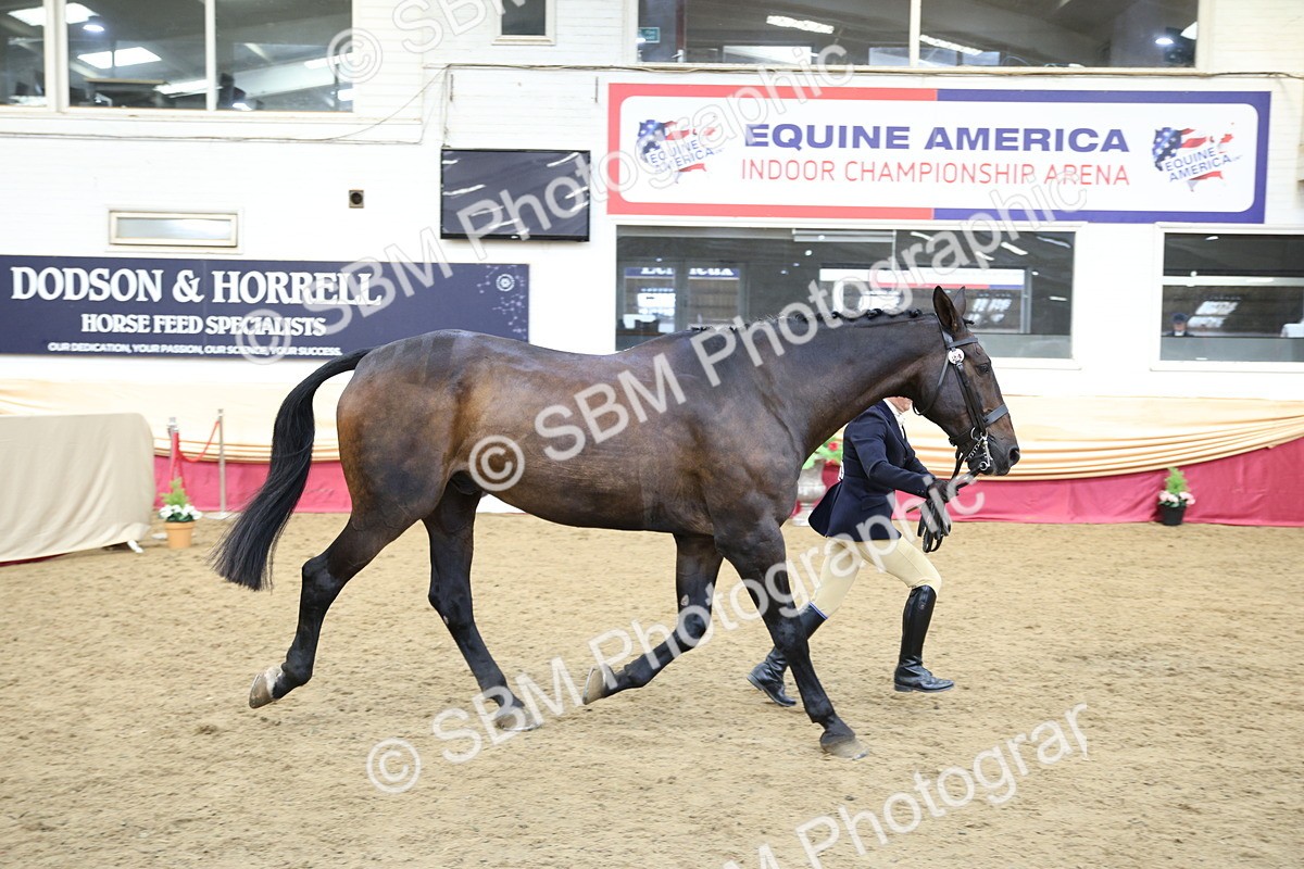 SBM_24262 - Class 905 - Supreme Final - Ridden Veteran