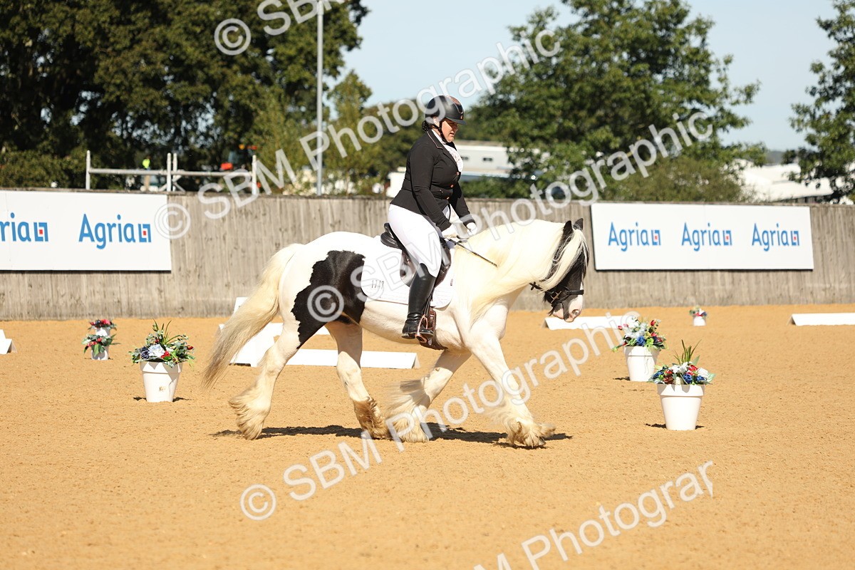 SBM_19629 - D10 - Small Tour Championship - Prelim 2