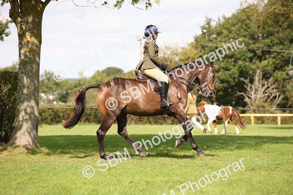 SBM_65923 - S64 - Riding Horse & Hack & Thoroughbred Ridden