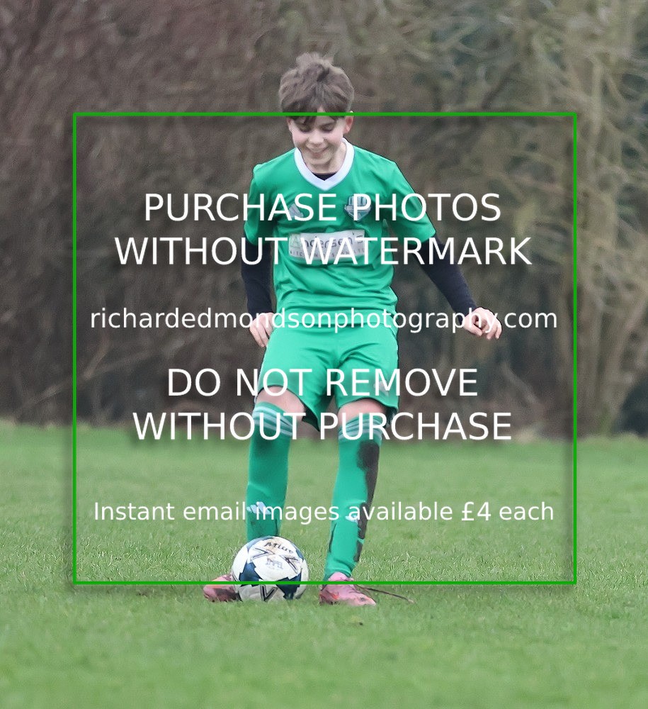 533A6411 - Lonsdale Terriers