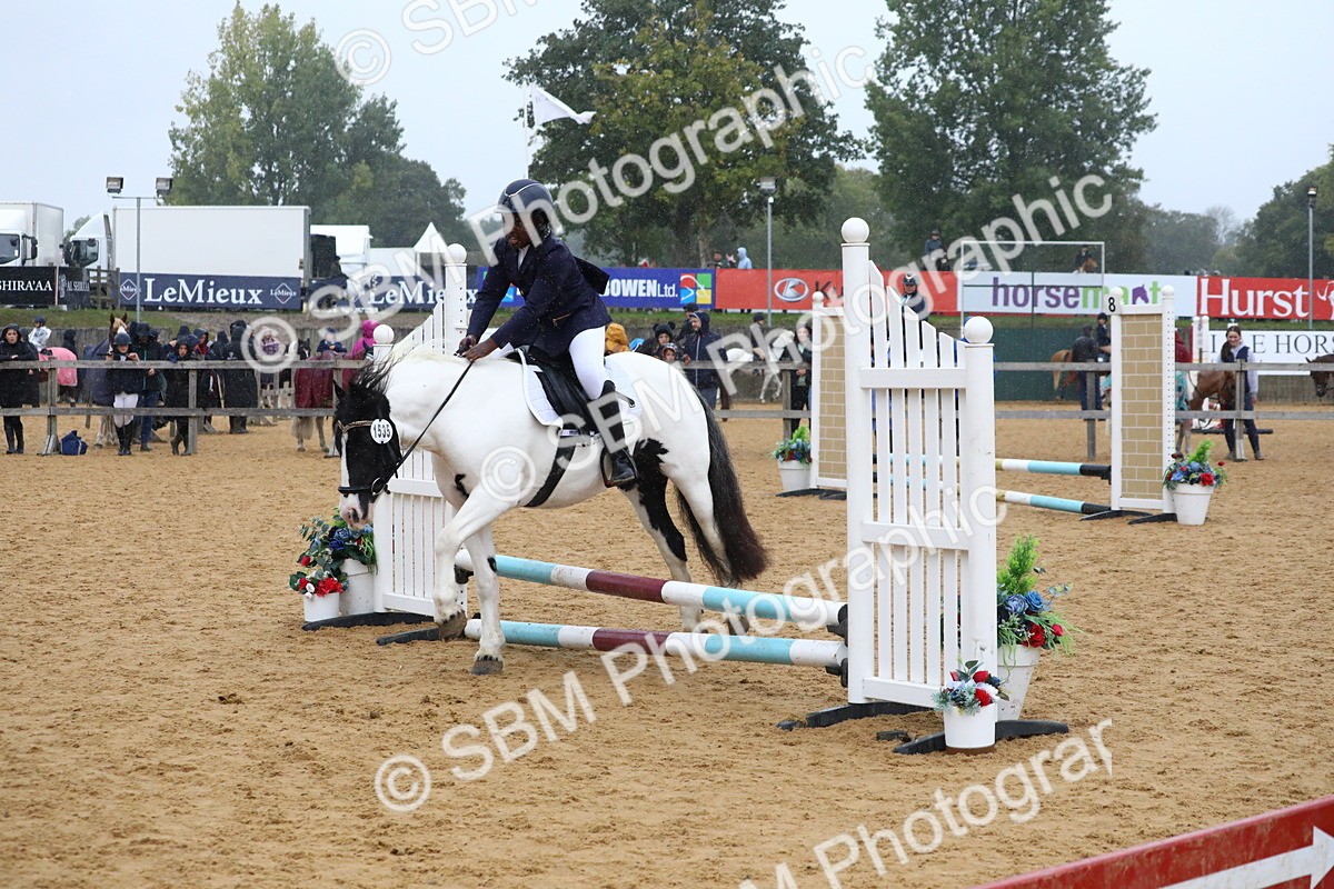 SBM_71451 - J4 - Mini Tour Junior Pony 45cm Championship