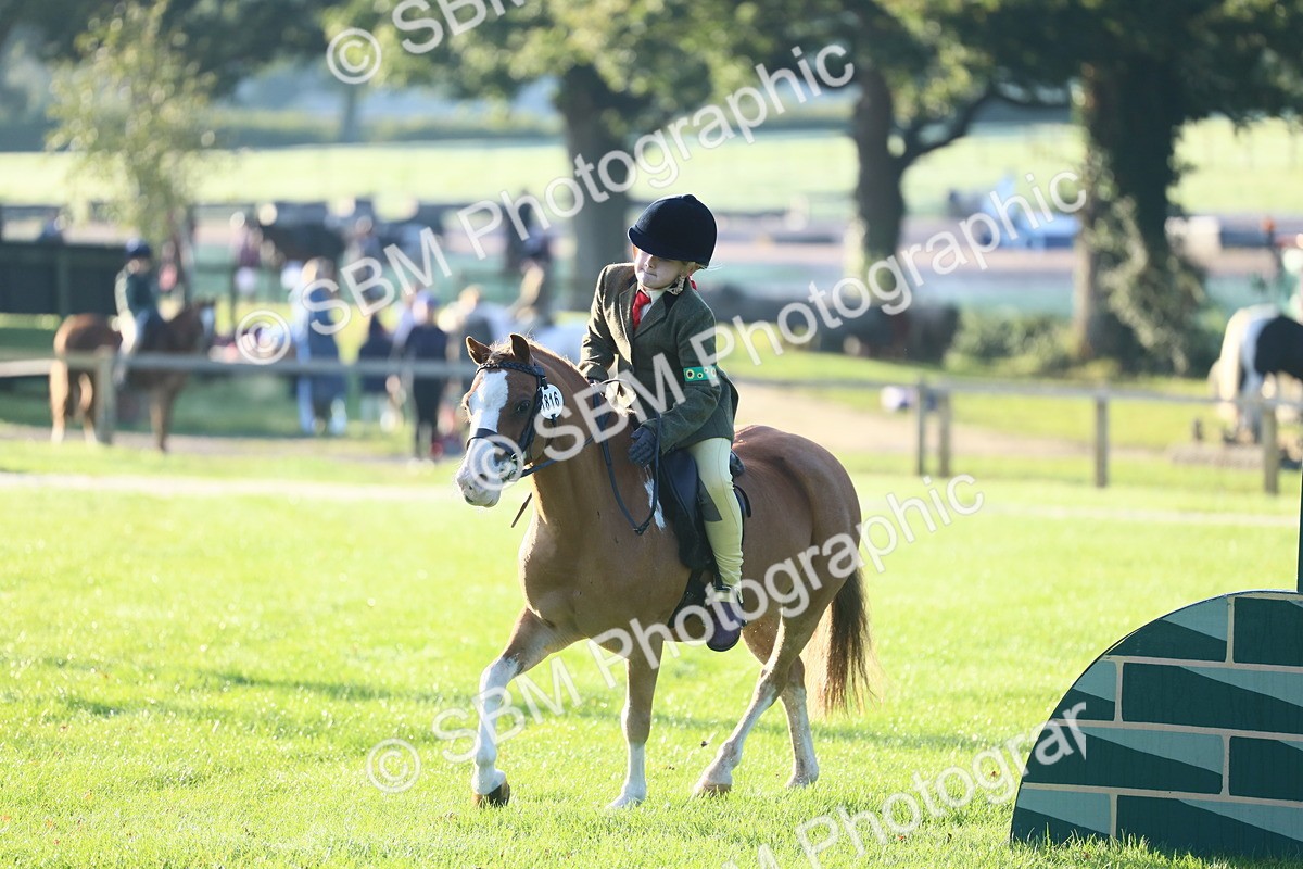 SBM_31832 - S28 - Nursery Stakes Working Hunter Pony