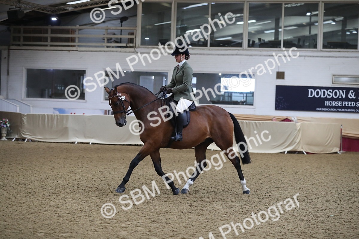 SBM_10417 - Class 102 Equitation (best rider) Adult