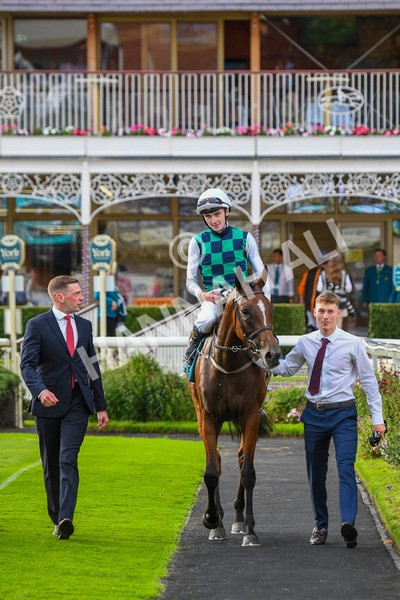 280723-Race 5-Midnight Mile-0565 - Race 5 7.15pm British EBF 40th Anniversary Lyric Fillies' Stakes